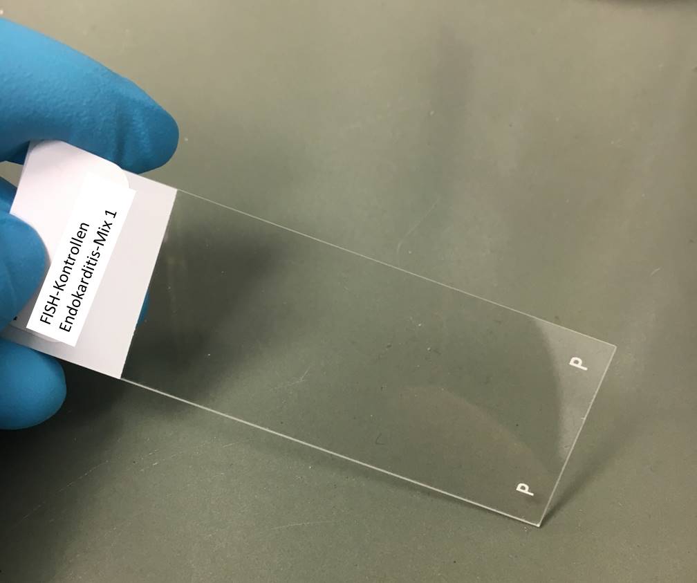 Kontroll­objekt­träger für die FISH